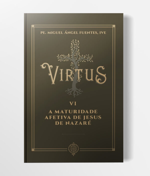 Capa Livro - Virtus VI - A Maturidade Afetiva de Jesus de Nazaré