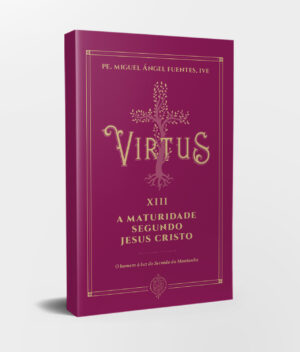 Capa Livro e Lombada - Virtus XII - A Maturidade Segundo Jesus Cristo